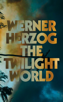 book cover for The Twilight World