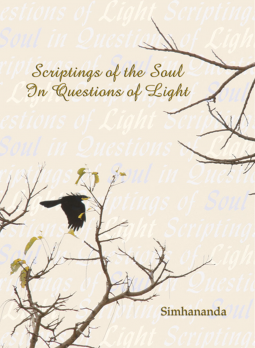 book cover for Scriptings of the Soul in Questions of Light