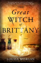 book cover for The Great Witch of Brittany