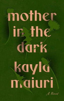 book cover for Mother In the Dark