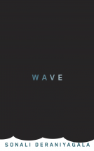 book cover for Wave