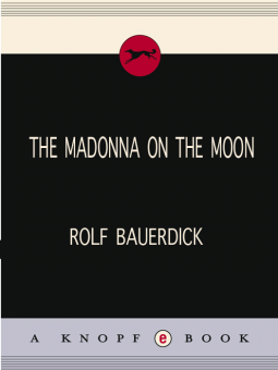 book cover for The Madonna on the Moon