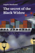 book cover for The secret of the Black Widow