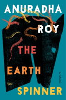 book cover for The Earthspinner