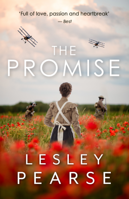 book cover for The Promise