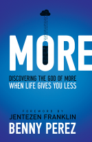 book cover for MORE