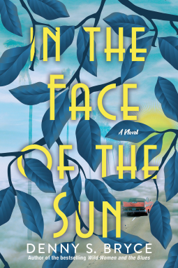 book cover for In the Face of the Sun