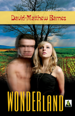 book cover for Wonderland