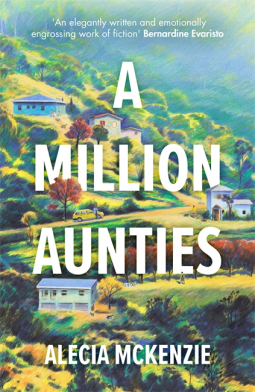 book cover for A Million Aunties