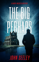 book cover for The Big Perhaps