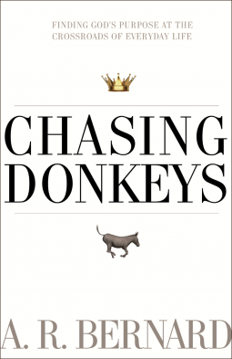 book cover for Chasing Donkeys