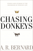 book cover for Chasing Donkeys