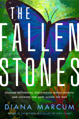 book cover for The Fallen Stones