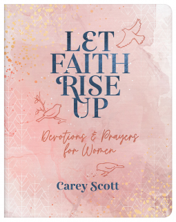 book cover for Let Faith Rise Up