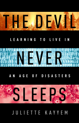 book cover for The Devil Never Sleeps