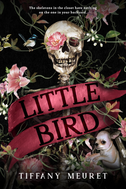 book cover for Little Bird