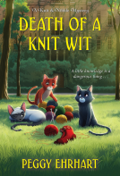 book cover for Death of a Knit Wit