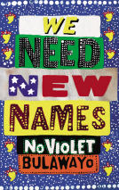 book cover for We Need New Names