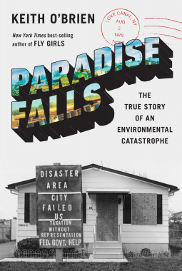 book cover for Paradise Falls
