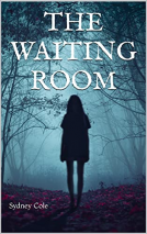 book cover for The Waiting Room