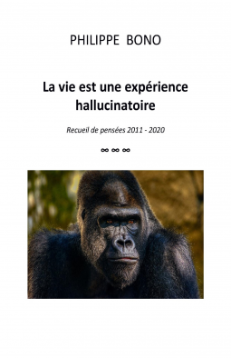 Couverture du livre pour La vie est une expérience hallucinatoire