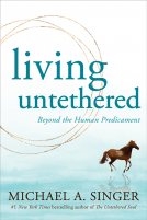 book cover for Living Untethered
