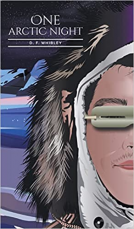 book cover for One Arctic Night