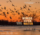 book cover for Wings Over Water