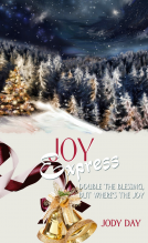 book cover for Joy Express