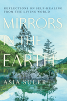 book cover for Mirrors in the Earth