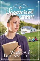book cover for The Sugarcreek Surprise