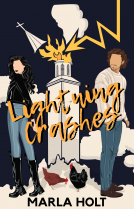 book cover for Lightning Crashes