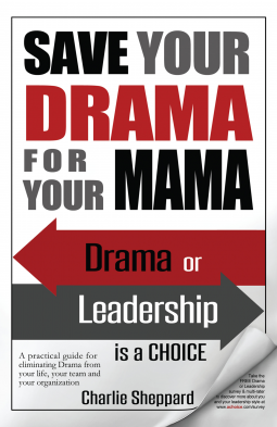 book cover for Save Your Drama For Your Mama
