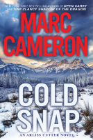 book cover for Cold Snap