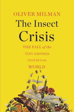 book cover for The Insect Crisis