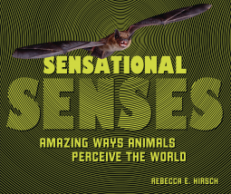 book cover for Sensational Senses