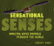 Cover Image: Sensational Senses