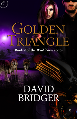 book cover for Golden Triangle
