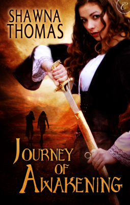 book cover for Journey of Awakening