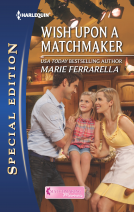 book cover for Wish Upon a Matchmaker