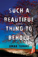 book cover for Such a Beautiful Thing to Behold