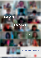 book cover for Zoom Rooms