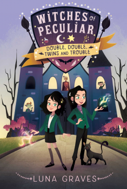 book cover for Double, Double, Twins and Trouble