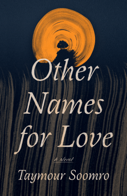 book cover for Other Names for Love