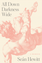 book cover for All Down Darkness Wide
