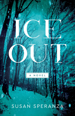 book cover for Ice Out