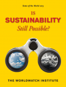 book cover for State of the World 2013
