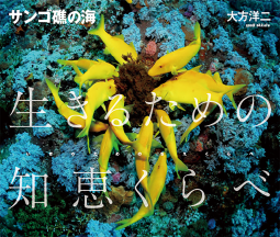 サンゴ礁の海　生きるための知恵くらべ 表紙