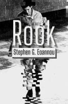 book cover for Rook