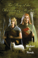 book cover for The Way of the Wandering Wizard